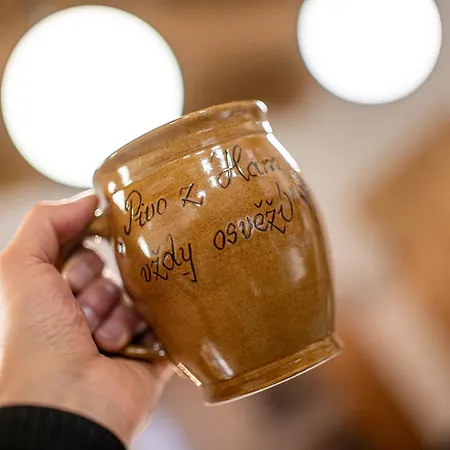 Πανδοχείο Hamr Divci Kamen Kremze